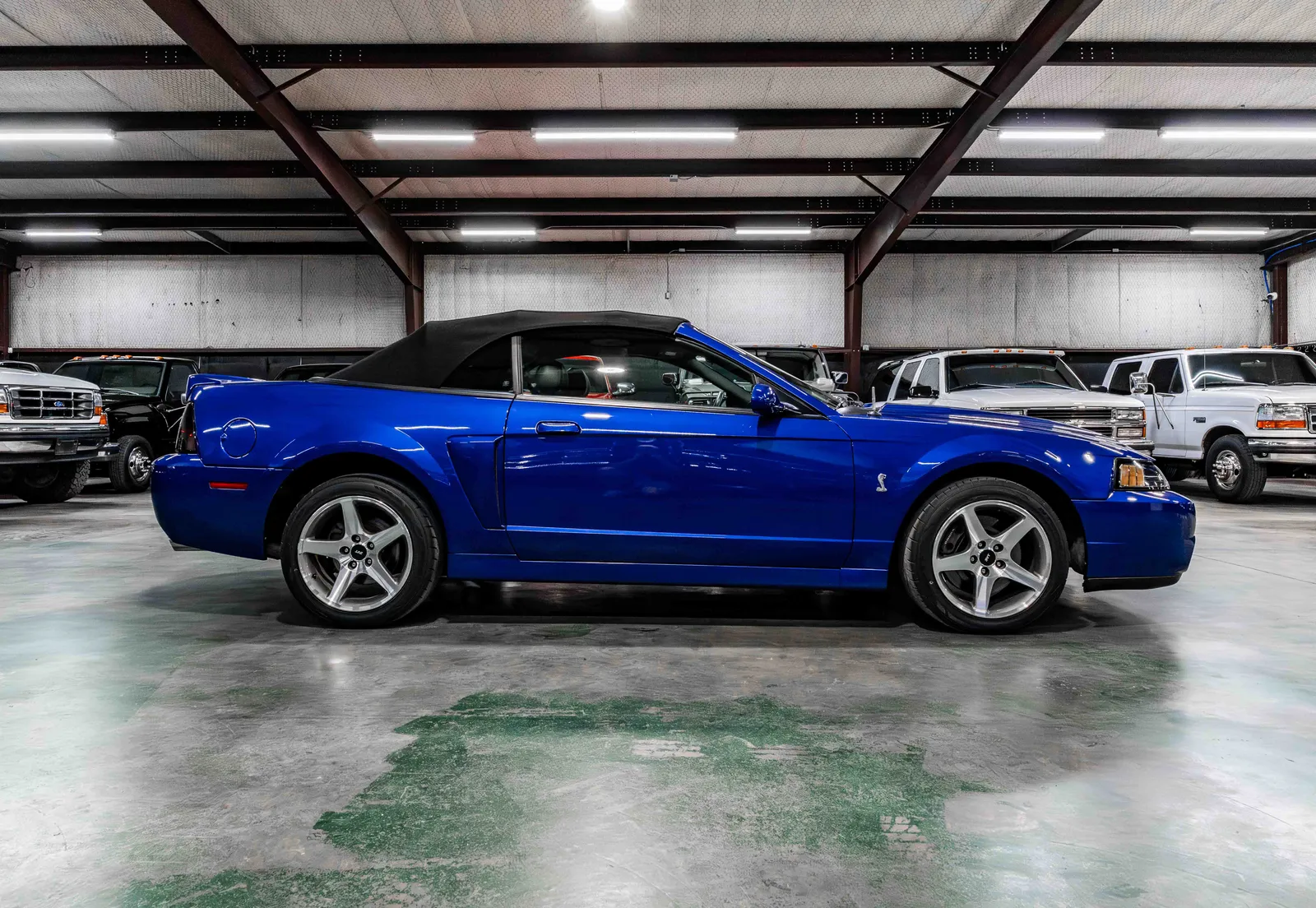 A2003-Ford-Mustang-Cobra-Sonic-Blue-1FAFP49Y33F329966-57.jpg